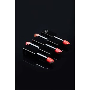 Le Rouge à Lèvres Mat