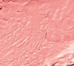 Rouges à Lèvres Brillants Angélique